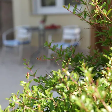 Thess1home Pylaia Apartmán